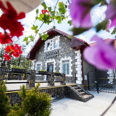 Royal Inn Busteni-Adults Only Zewnętrze zdjęcie