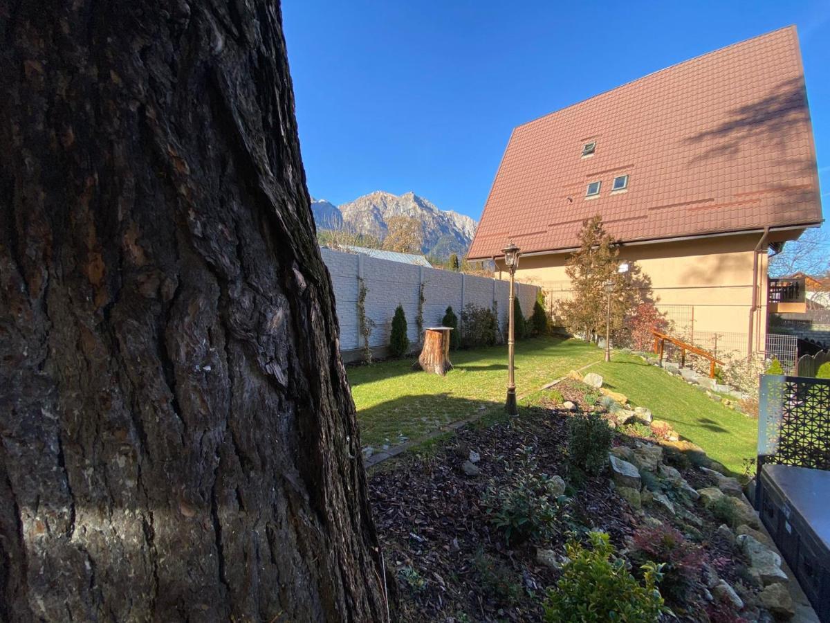 Royal Inn Busteni-Adults Only Zewnętrze zdjęcie